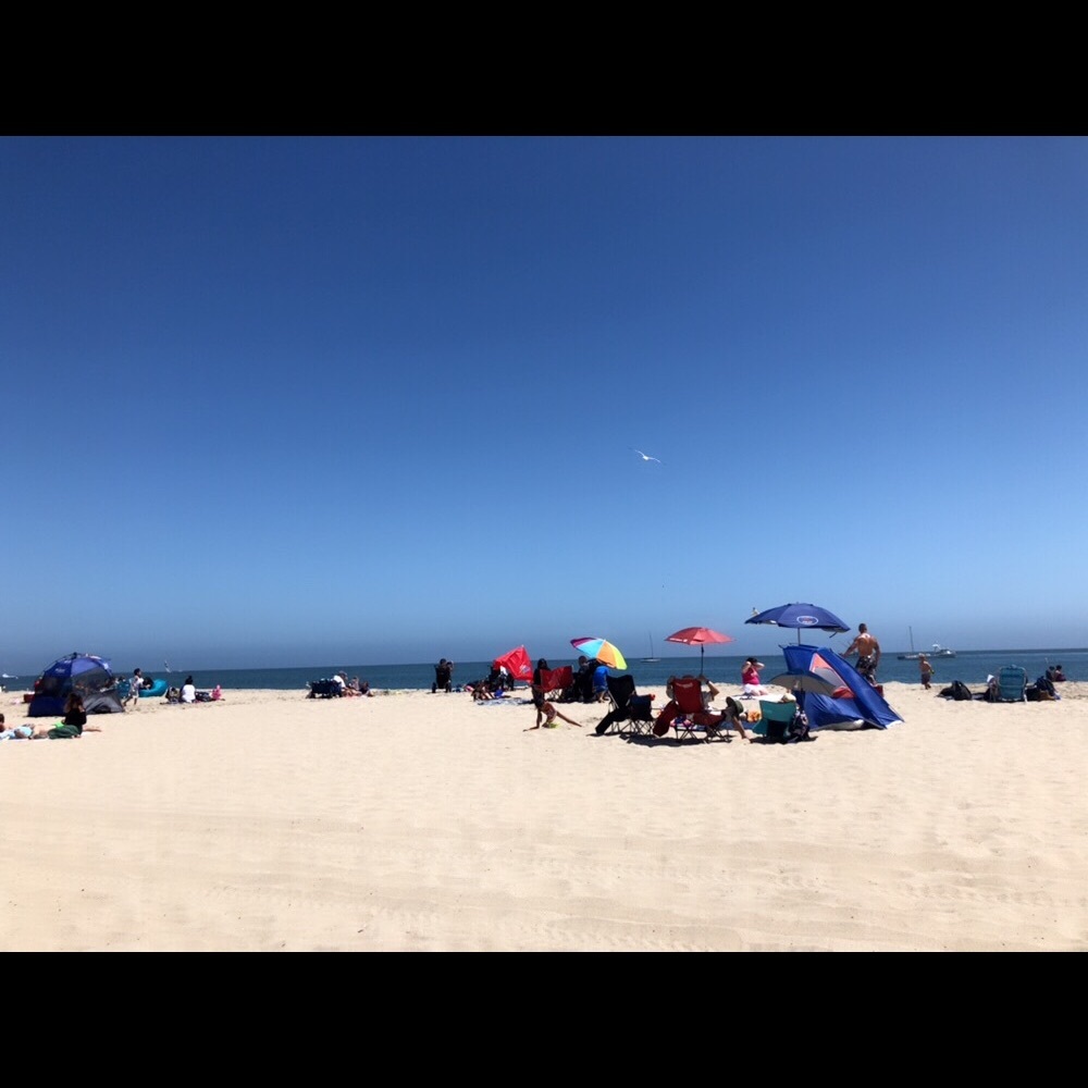 Meet your Posher, Linda